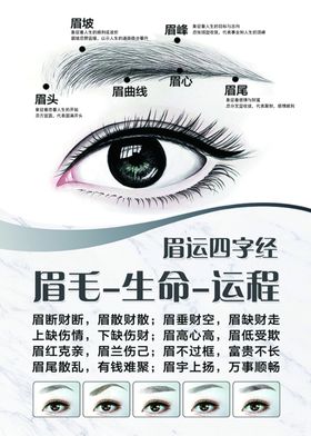 眉毛图片