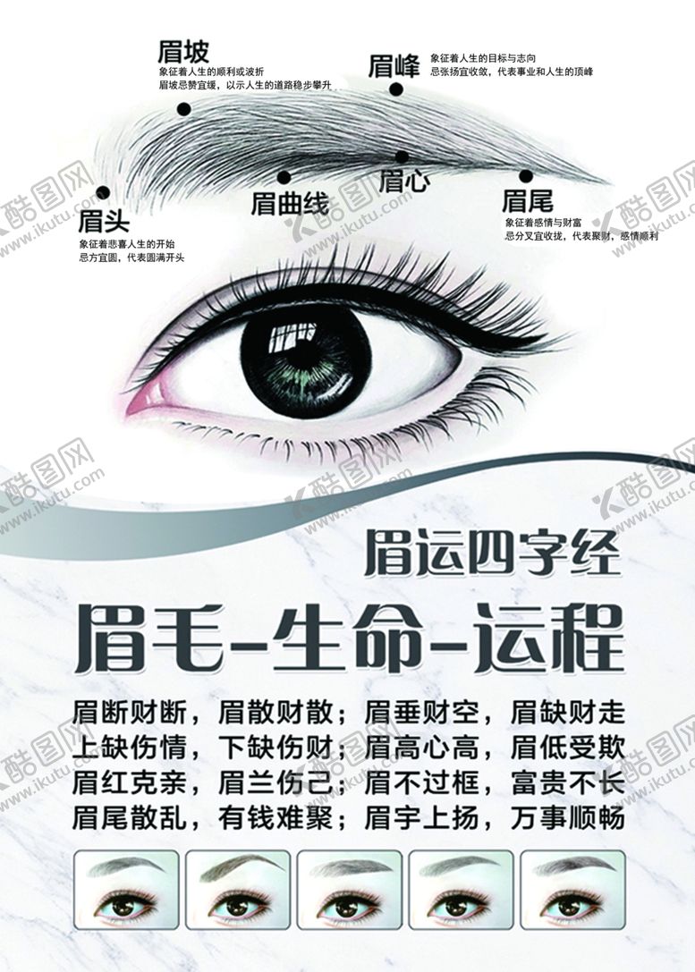 编号：14342606151856149924【酷图网】源文件下载-眉毛图片