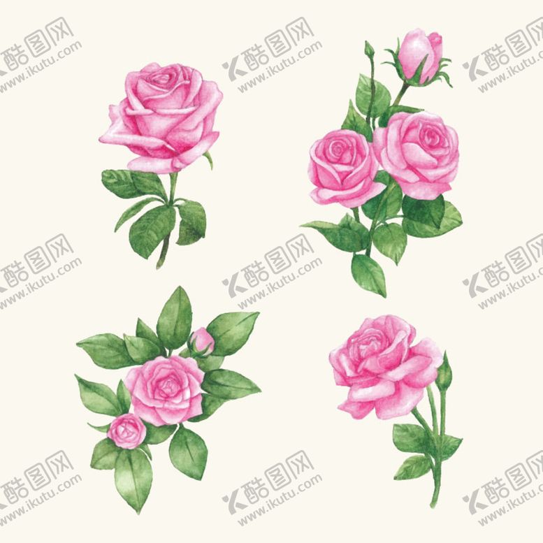 编号：05342909160907087291【酷图网】源文件下载-水彩花花卉叶子