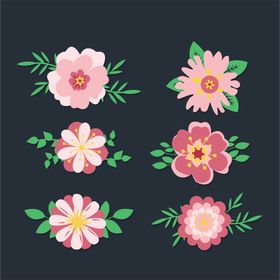 各种花朵手绘插图多彩插画美丽