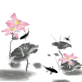 荷花素材中国风夏天立夏海报