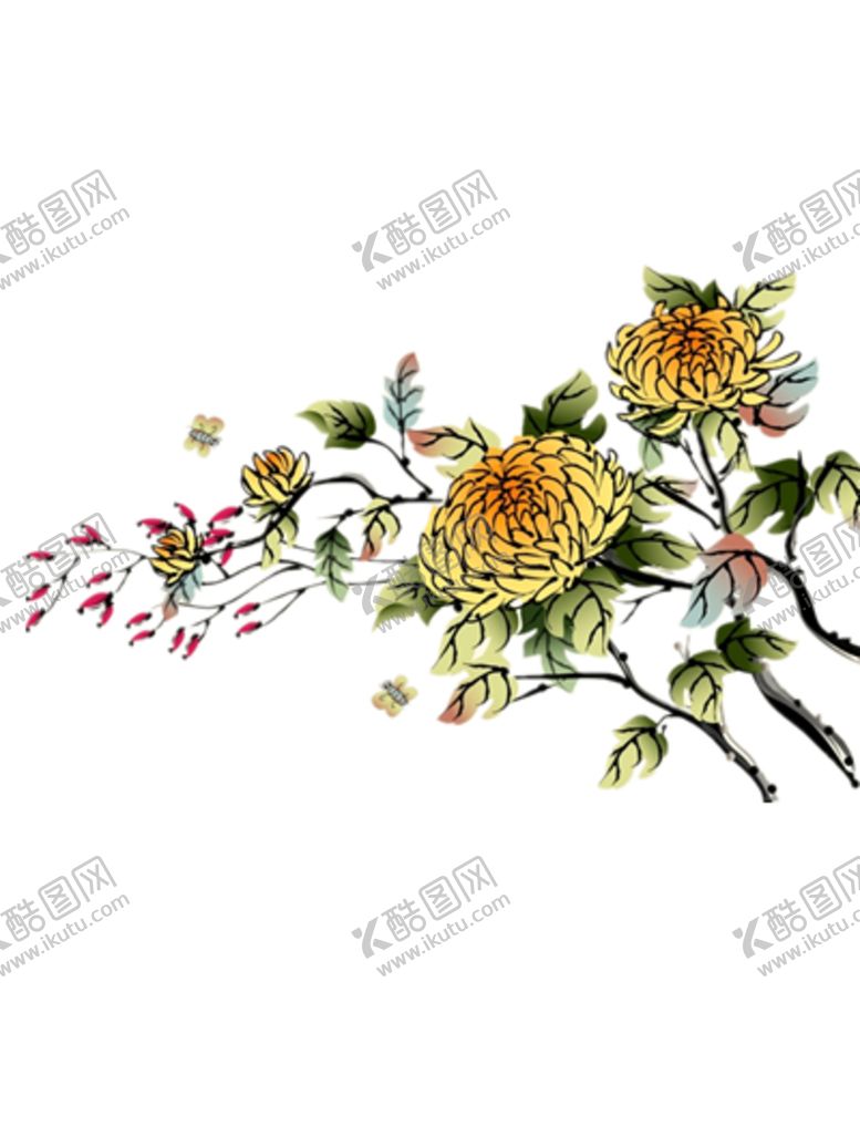 编号：86850707042101417559【酷图网】源文件下载-菊花装饰