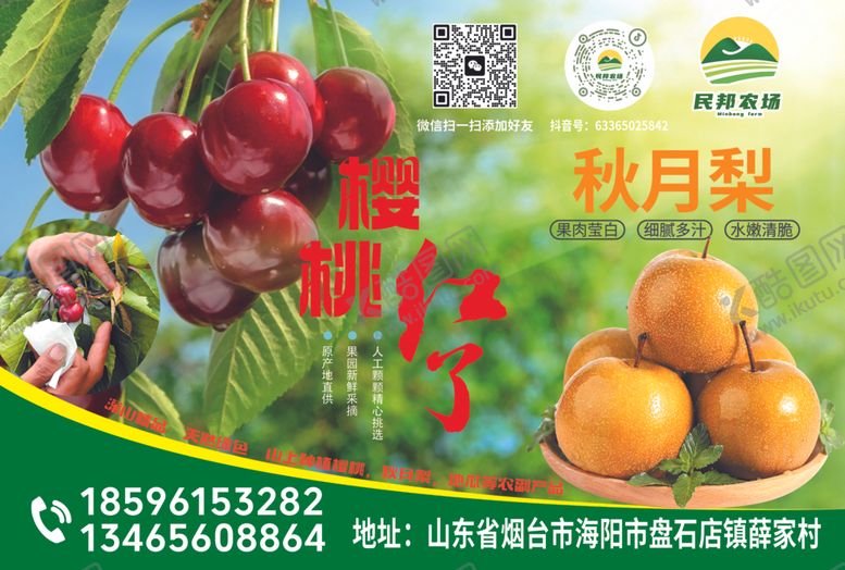 编号：65928801210207186782【酷图网】源文件下载-大樱桃秋月梨