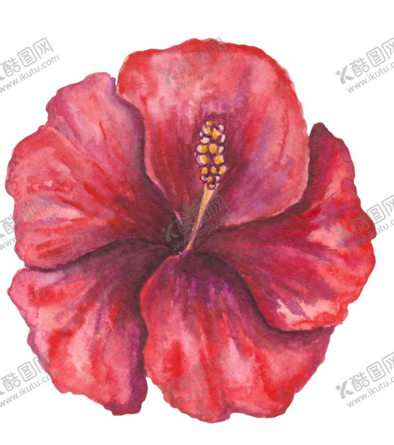 编号：69124203131737155413【酷图网】源文件下载-花卉