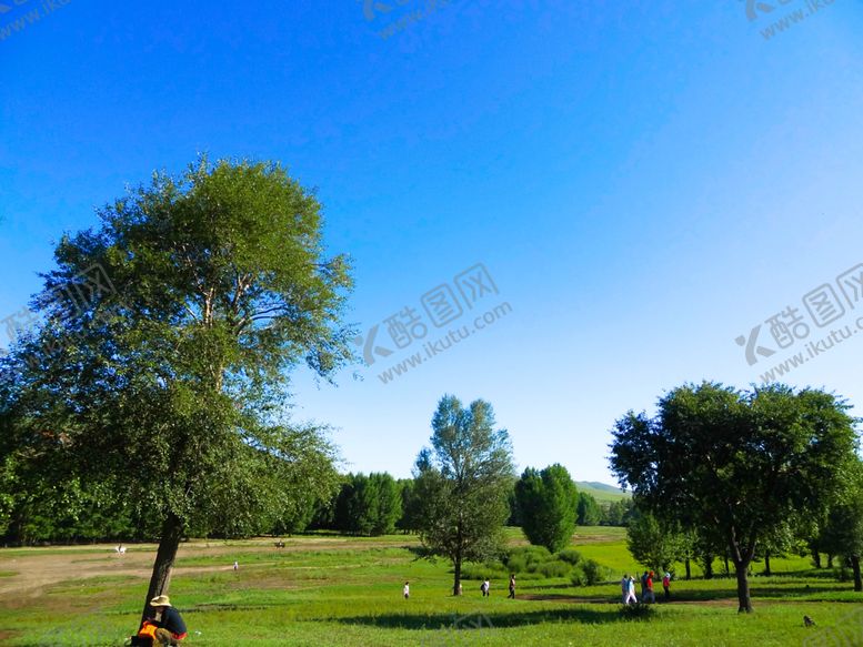 编号：41082209231031462771【酷图网】源文件下载-草原上的小树林