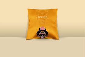 抱枕展示样机