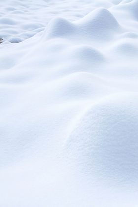 冬天雪地雪人植物树木