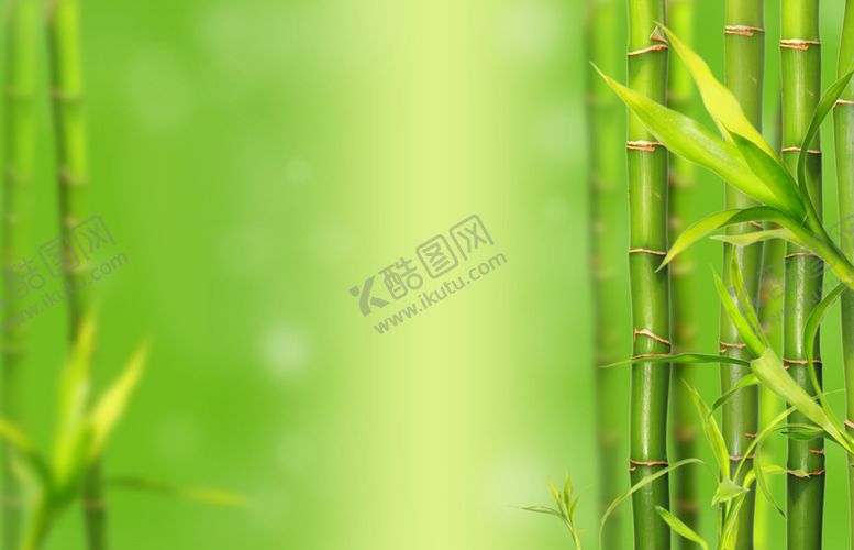 编号：76501905080903173972【酷图网】源文件下载-竹子