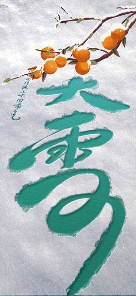 大雪海报