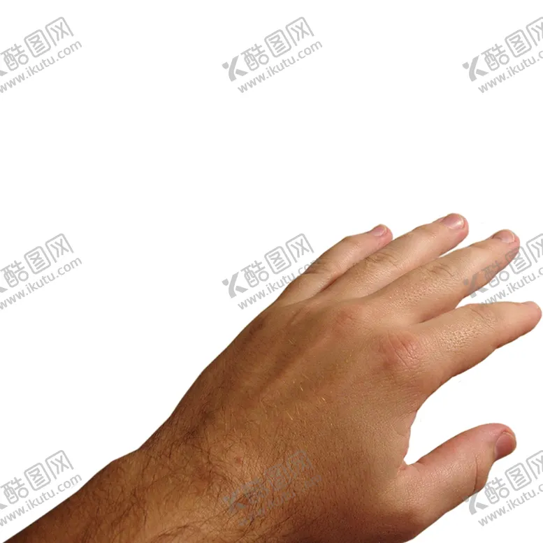 编号：13549002210250299200【酷图网】源文件下载-手部特写图
