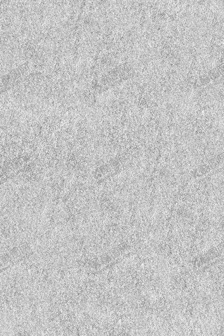 编号：81999104250620367040【酷图网】源文件下载-浅灰色磨砂质感纹理背景