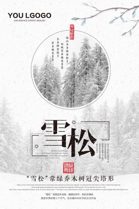 雪松海报