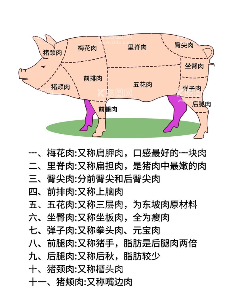 编号：94156210031839282694【酷图网】源文件下载-猪肉分切图 源文件