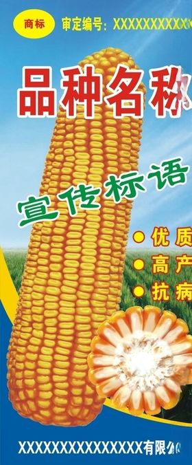 玉米展架
