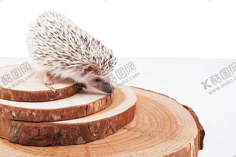 编号：87142210031950179468【酷图网】源文件下载-木纹