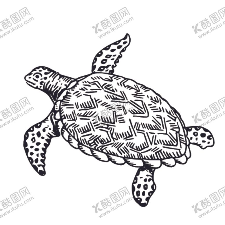 编号：78748307130324176880【酷图网】源文件下载-龟线稿绘画图案