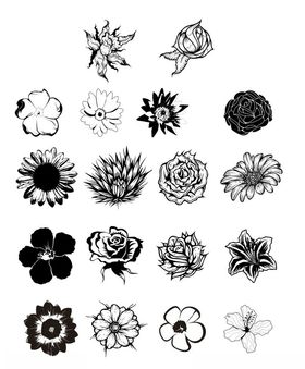 各类花瓣花朵手绘简笔画