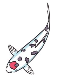 鲤鱼插画图案