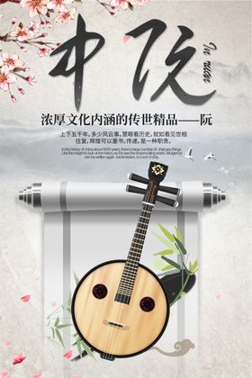 中阮海报