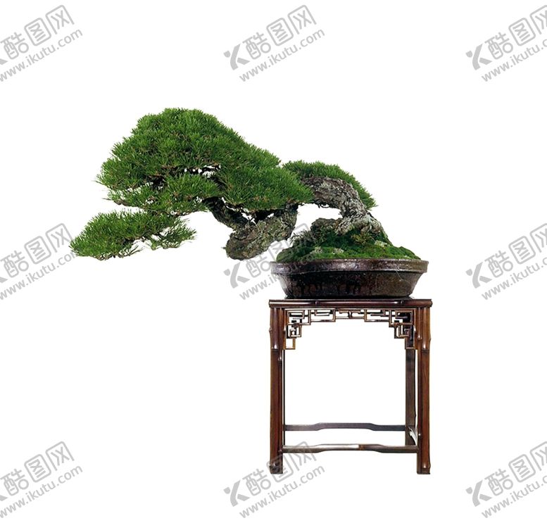 编号：20007809260409102799【酷图网】源文件下载-花艺