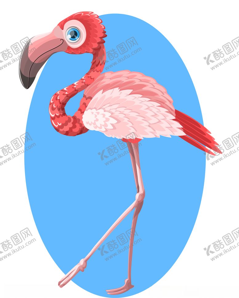 编号：52589210111213534233【酷图网】源文件下载-火烈鸟卡通插图