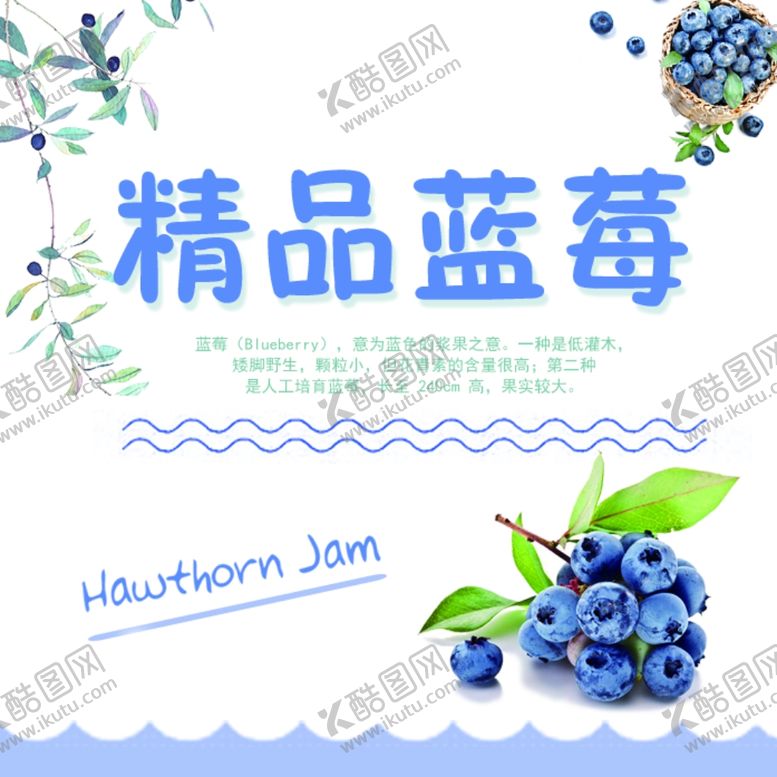 编号：15168009261520219766【酷图网】源文件下载-精品蓝莓标签