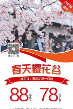 旅游海报 旅游报价 线路300DPIPSD