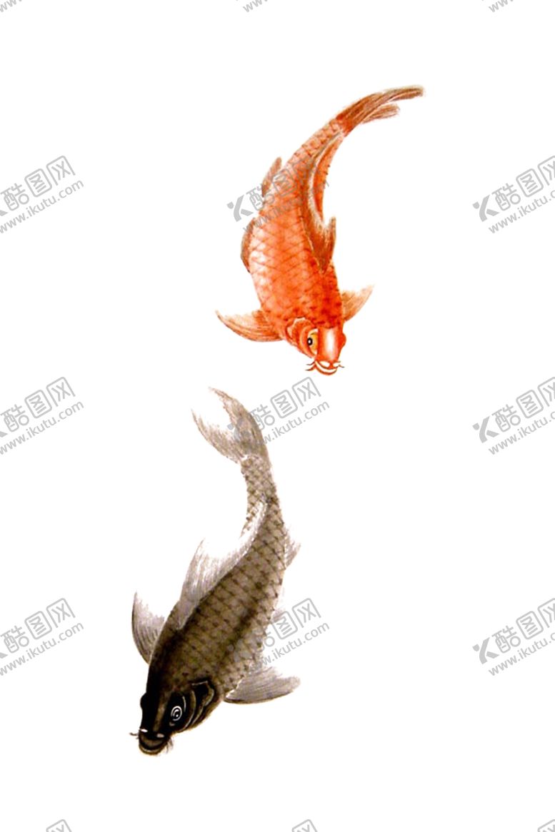 编号：11036410240557478273【酷图网】源文件下载-水墨鱼