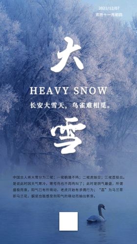 编号：34760110011017190945【酷图网】源文件下载-二十四节气大雪海报