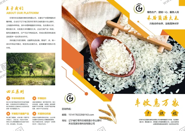 编号：85027609090510204636【酷图网】源文件下载-大米传单