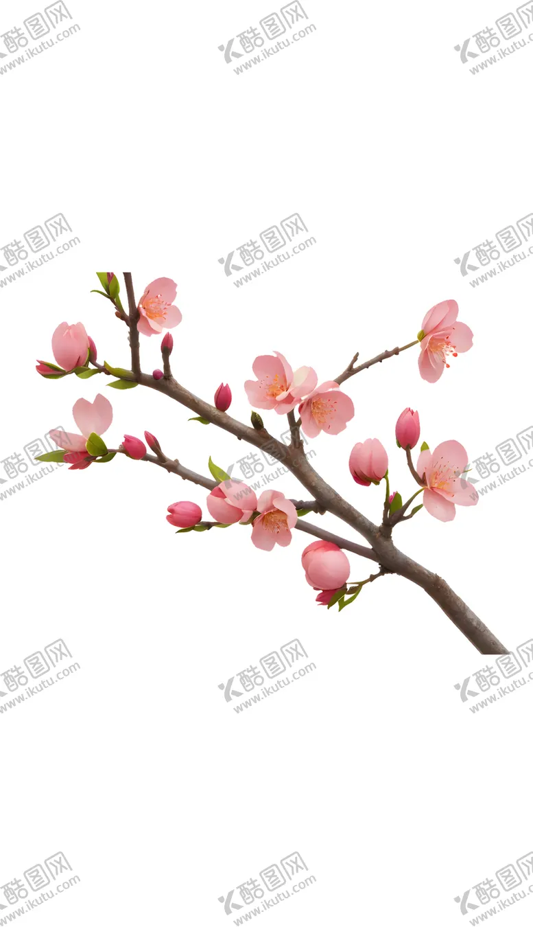 编号：24331602080127139557【酷图网】源文件下载-桃花梅花桃树鲜花枝条树枝