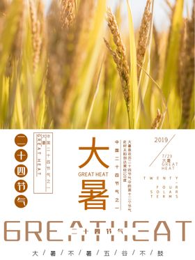 大暑海报主题手机海报节气海报