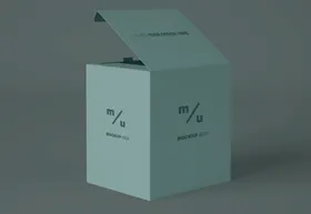 纸盒样机包装产品长方