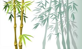 森林竹子