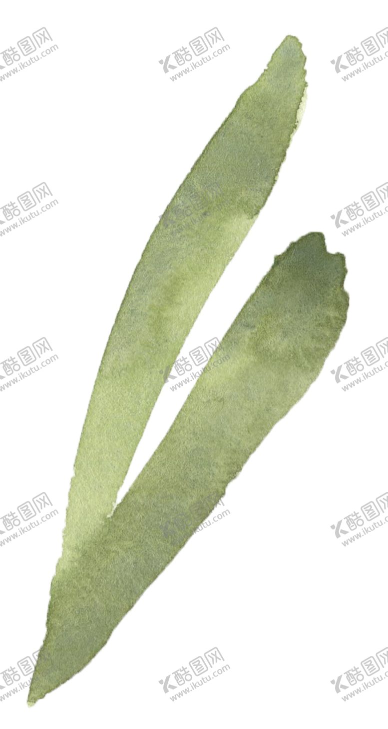 编号：44078905120559075789【酷图网】源文件下载-手绘植物花卉