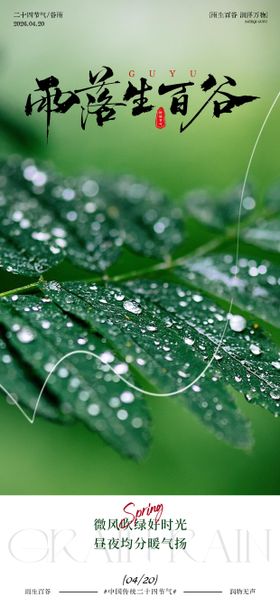 二十四节气谷气春意海报设计