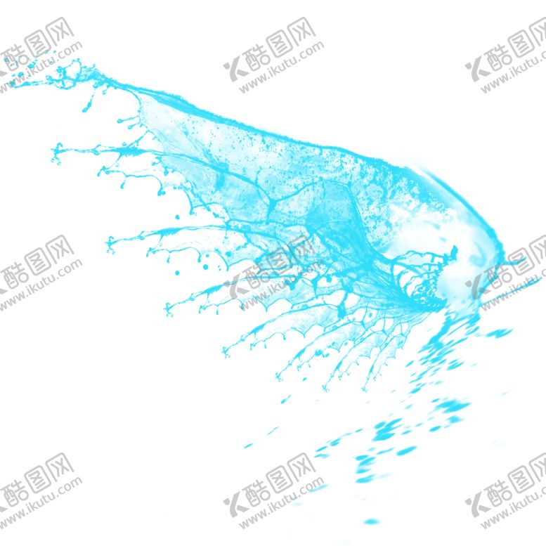 编号：71175310151342281116【酷图网】源文件下载-水花