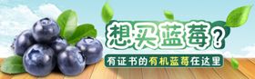 蓝梅海报