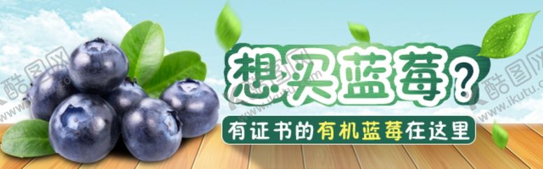 编号：96794606300752398678【酷图网】源文件下载-蓝梅海报