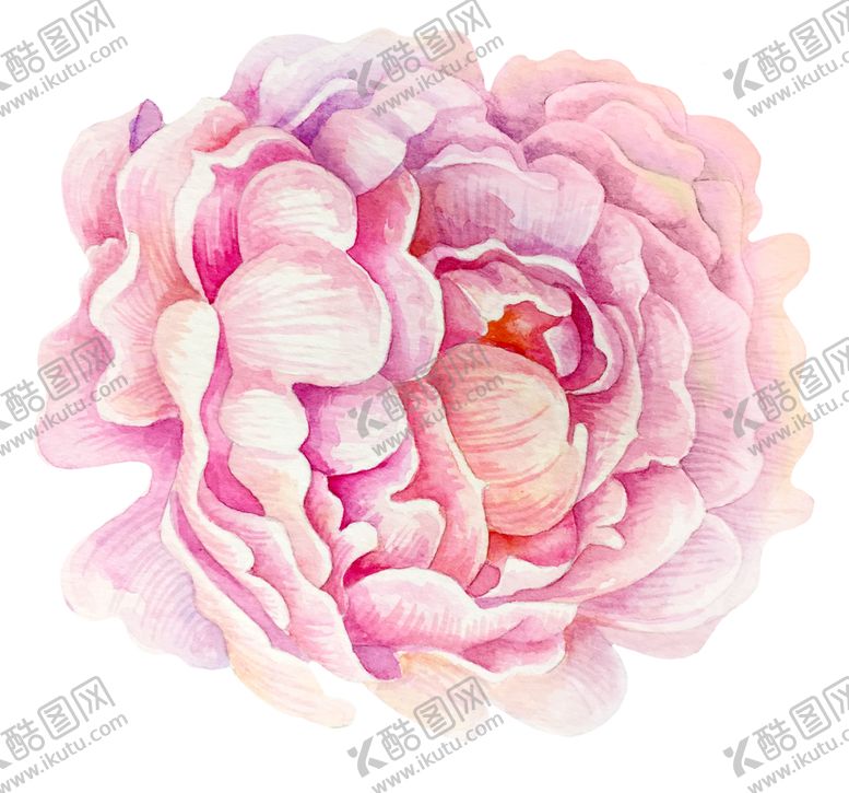 编号：71661306160544123002【酷图网】源文件下载-水彩植物