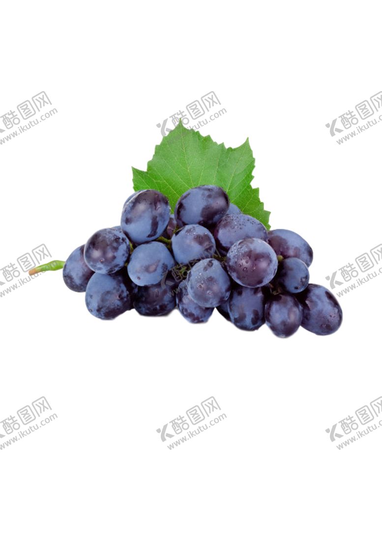 编号：55673907060252269040【酷图网】源文件下载-葡萄