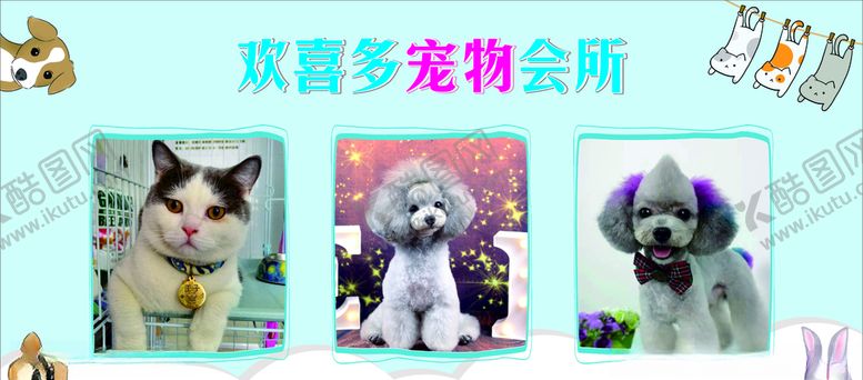 编号：15508910010909264892【酷图网】源文件下载-宠物