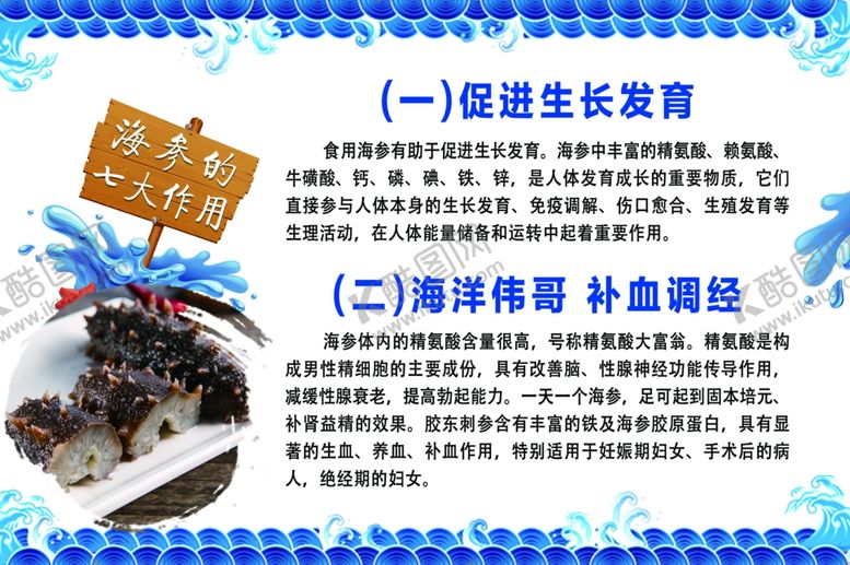 编号：10049110070126131386【酷图网】源文件下载-海参营养成分高清