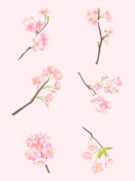 手绘樱花