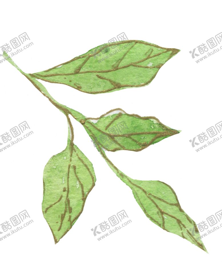 编号：13833001260304477825【酷图网】源文件下载-高清典雅花卉PNG素材系列