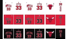 公牛33号PIPPEN