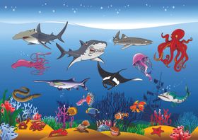海底乐园生物水底乐园水草