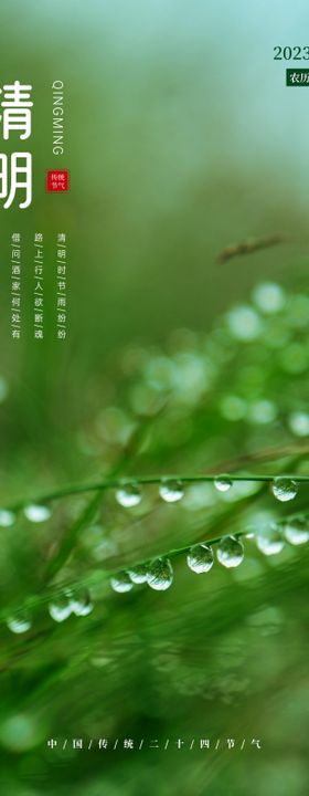 清明节气banner