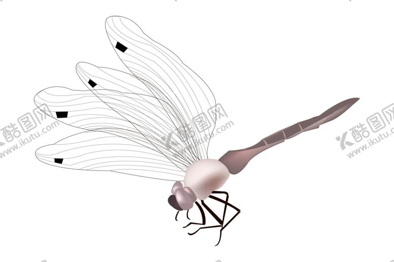 编号：84463709232143352436【酷图网】源文件下载-蜻蜓