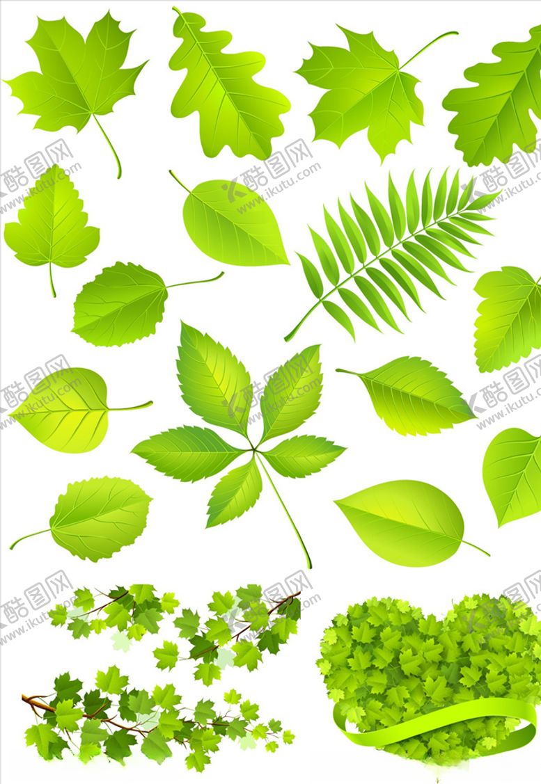 编号：25486009140506073511【酷图网】源文件下载-矢量绿色树叶